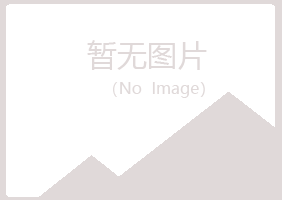 福建山柏机械有限公司